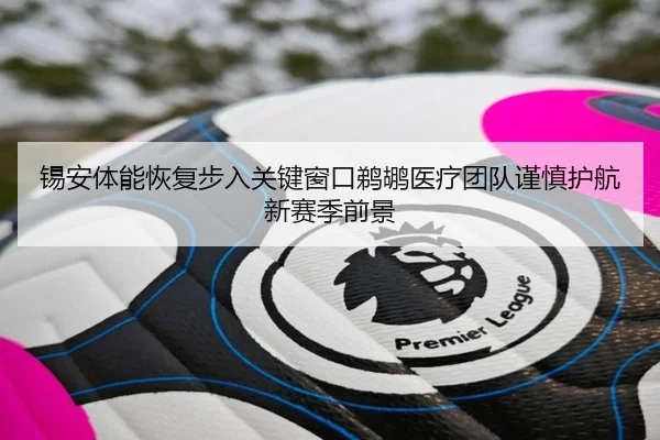 锡安体能恢复步入关键窗口鹈鹕医疗团队谨慎护航新赛季前景